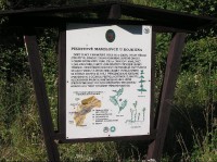 Pikritové mandlovce u Kojetína, 500 m před rozcestníkem - detail