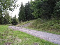 Od rozcestníku na Trávný (doprava lesem do kopce), rovně neznačený okruh Sviňorky