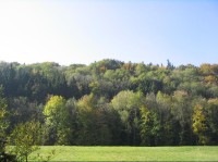 Pohled ze silnice z Kozlovic na Hukvaldy