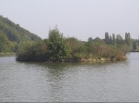 Trávný rybník - ostrov