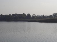 Emauzský rybník