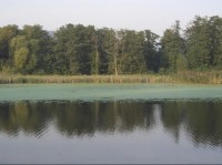 Rybník Cíp