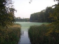 Rybník Cíp