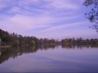 Pohled na rybník
