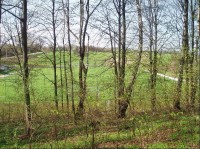 pohled z lesa na Okrouhlé na fotbalové hřiště ve Staříči