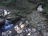 Soutok Jestřábího potoka s Mohelnicí - pohled z mostu nad Mohelnicí