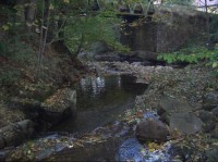 Soutok Jestřábího potoka s Mohelnicí - pohled od potoka