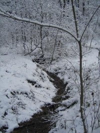 potok u Krnalovic