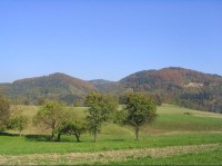 Bačův kopec (vpravo) ze zelené za Měrkovicemi