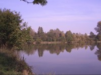 Pohled z hráze mezi rybníky Heřmanický a Dolní Polom
