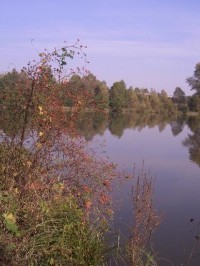 Heřmanický rybník
