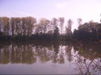Heřmanický rybník