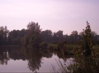 HPohled na hráz mezi rybníky Heřmanický a Dolní Polom