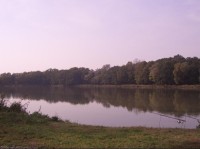 Dolní rybník
