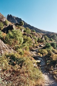 Cesta údolím Tavignanu