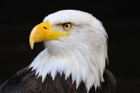 fotka uživatele oldjuhy