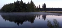 Kladský rybník: podvečerní mlha