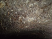 V jeskyni 17