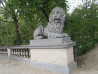Lev v parku