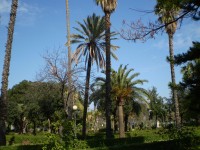 Sicílie - Palermo, Villa Giulia