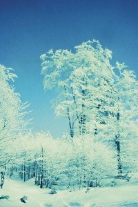 Zima pod Ondřejovskem