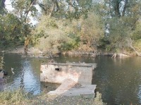 Rameno Dunaje v Petržalce: Ne vždy všechno je v souladu s ekologií