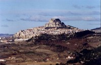 Morella