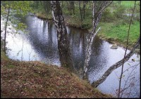 Řeka Ostravice: Údolí řeky Ostravice mezi obcí Ostravice a hrází přehrady Šance