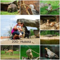 ZOO Ohrada, Hluboká n.v.