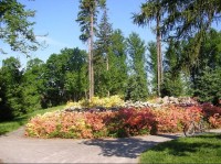 Park Jana Palacha: je v sousedství Městkého úřadu - Langerovy vily. Prošel rozsáhlou rekonstrukcí. Rozkvetlé rododendrony