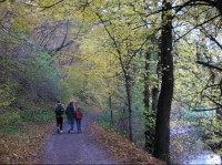 Bílovice nad Svitavou