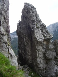Jasinia Raptawicka - pohled z výstupu k jeskyni (květen 2014)