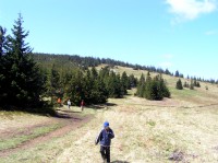 Palenica - v sedle Przełęcz Cudzichową - kousek výše u cesty je vidět salaš (květen 2011)