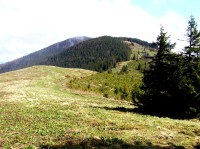 Przełęcz Pawlusia (květen 2011)