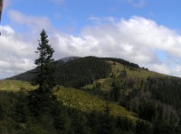 Przełęcz Pawlusia - pohled přes sedlo na Romanku (květen 2011)