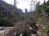polom po vichřici 2004 - pohled z dolní časti údolí