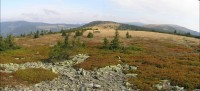nejcenější vrcholové partie přírodní rezervace Břidličná (pohled z Pecného k Břidličné hoře a Jelenímu hřbetu)