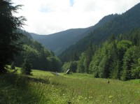 Bobrovecká dolina (od rozcestníku k sedlu Umrlá)(červenec 2008) 