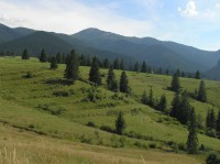 Sivý vrch od Zuberce