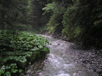 Juráňov potok u ústí doliny