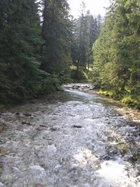 Dolina Kościeliska - tok Kościliskégo Potoka 