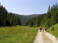 Malé Zajfy - po tur. trase a naučné stezce (červenec 2007)