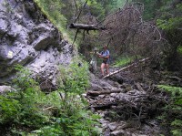sestup do Stratenského kaňonu (po žluté zn. z Havraniej skaly)(červenec 2007)