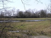 louky po jarních záplavách: louky v Proskovicích