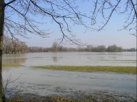 jarní záplava v Poodří: povodeň 30.3.2006, pohled ze silnice v Košatce