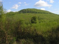 celkový pohled na Holý kopec od jihozápadu - rezervace zaujímá starší lesní porost kolem vrcholu (duben 2009)