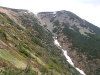 Kozí hřbety -  jižní úbočí s Luční horou (květen 2009)