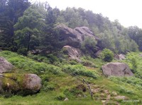 Pulčín – Hradisko (Národní přírodní rezervace)
