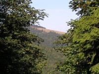 Switkowa - pohled z vrcholu stoupání ze sedla Przyslop průsekem k hoře Mala Ryczerzowa