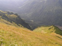 Tichá dolina - pohled do doliny z traversu pod Goričkovú kopú (září 2009) 